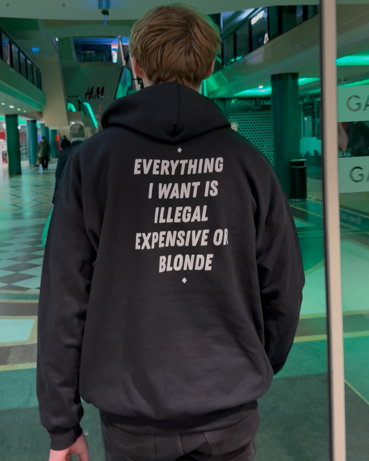 EVERYTHING I WANT IS ILLEGAL, EXPENSIVE OR BLONDE - HOODIE