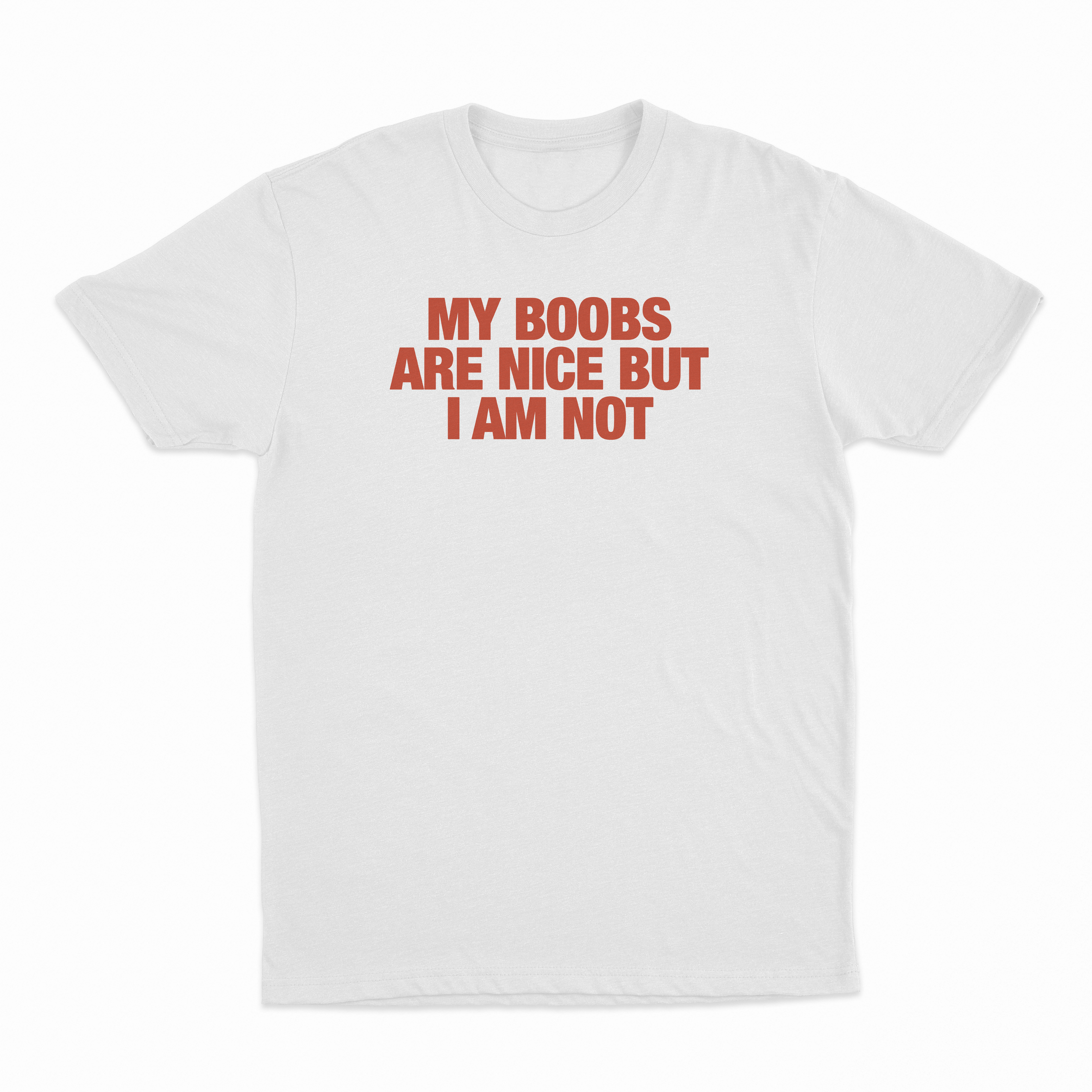 My Boobs Are Nice But I Am Not T-Shirt