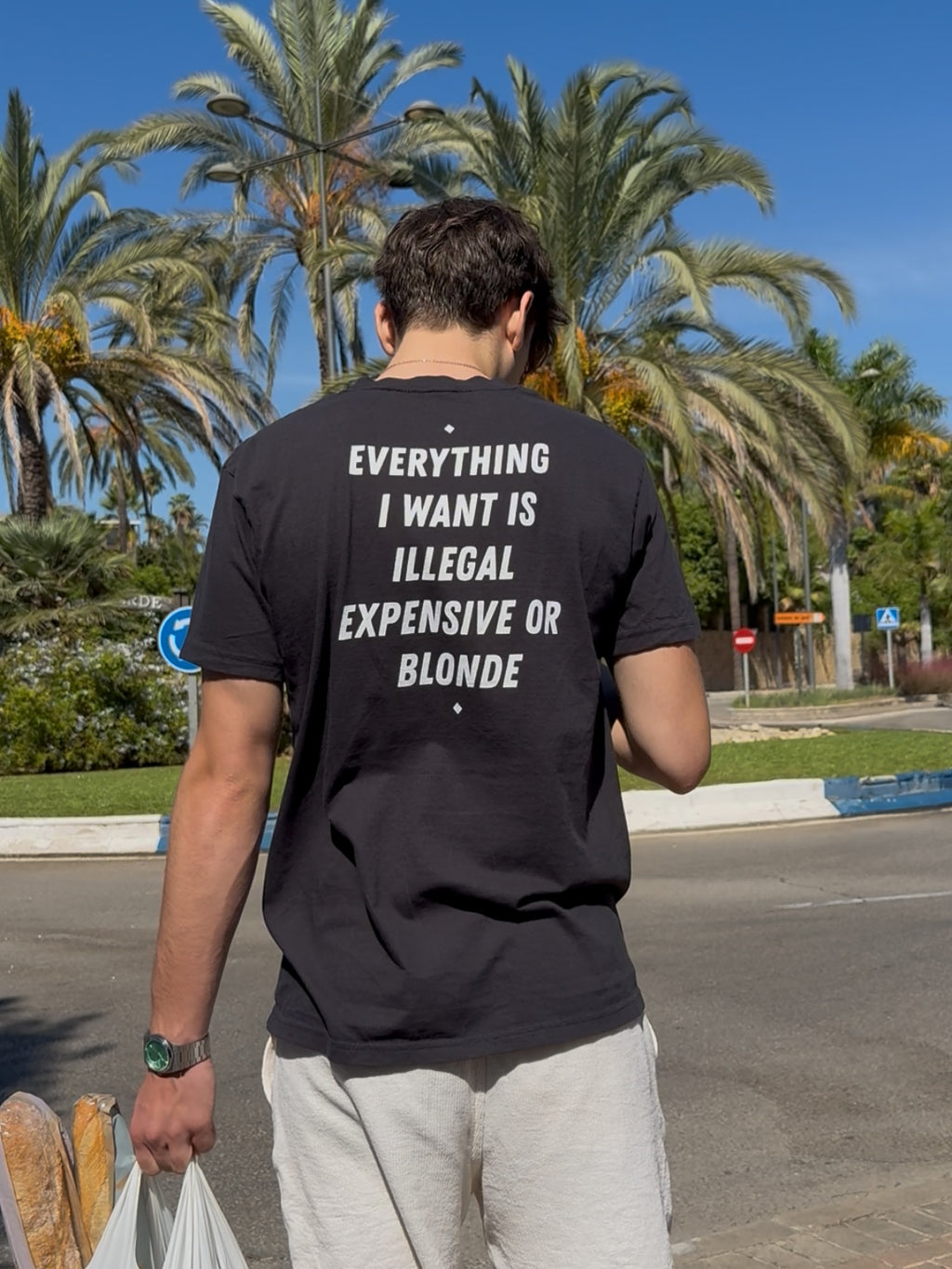 EVERYTHING I WANT IS ILLEGAL, EXPENSIVE OR BLONDE
